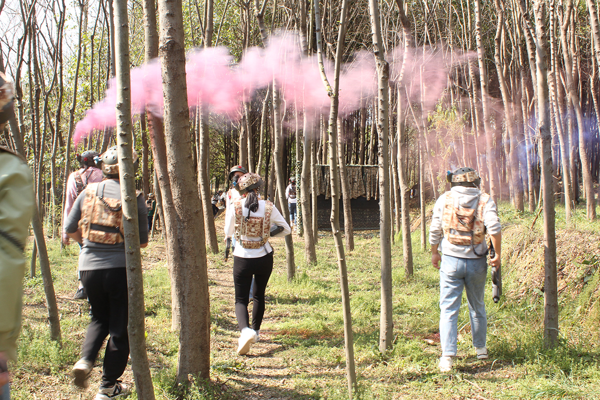 ������(��i)�S�����t(y��)Ժ����CS