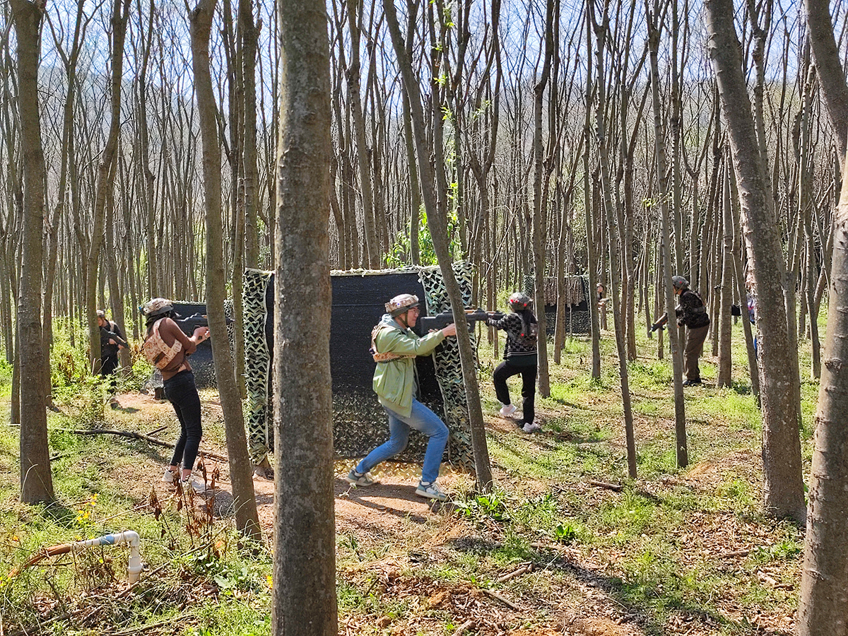 ������(��i)�S�����t(y��)Ժ����CS