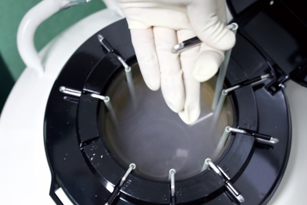 ʮ����ϵ�л��(d��ng)(��)|��(f��)�\���߃�(y��u)�݁�(l��i)�u~��Ժ���������ۿۃr(ji��)!