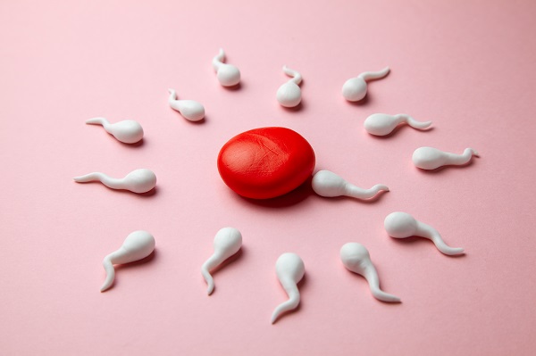 做人工授精期間是不是也要促排?促排會(huì)影響卵巢嗎?