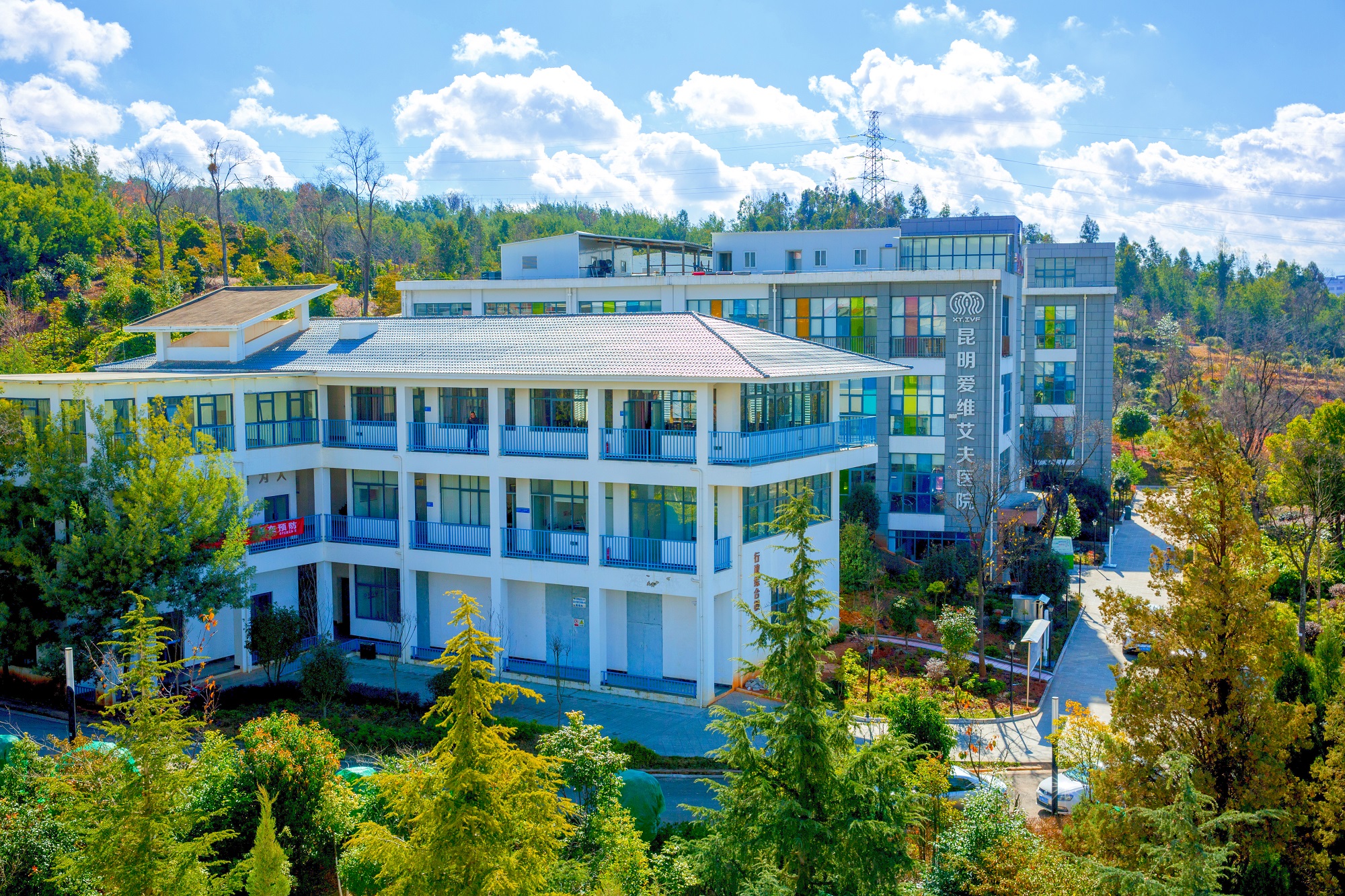 ԇ�܋냺�t(y��)Ժ,����ԇ�܋냺�t(y��)Ժ,����ԇ����ֳ����